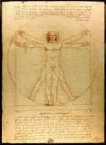Da_Vinci_Vitruve_Luc_Viatour.jpg